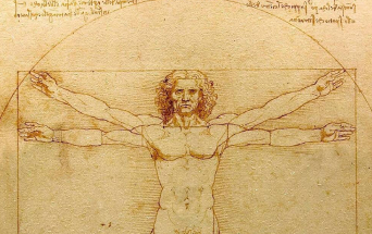 Artify - Zoom sur L'homme de Vitruve de Léonard de Vinci